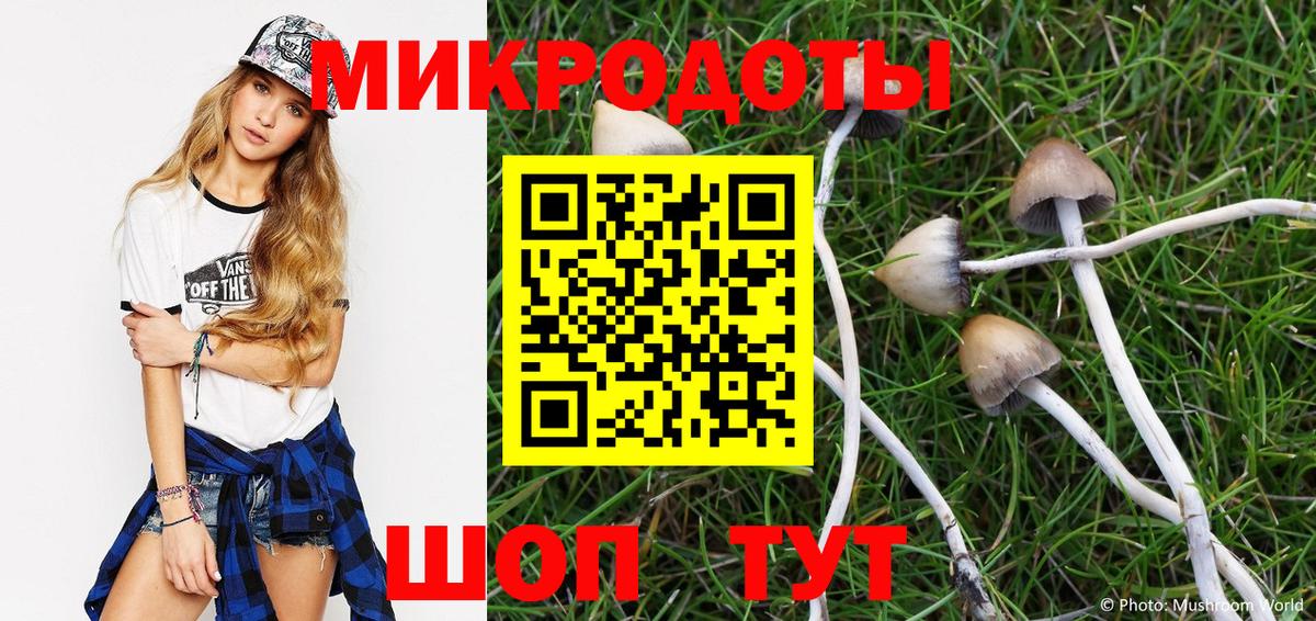 Галлюциногенные грибы прущие грибы  Вход с VPN  Лесосибирск 