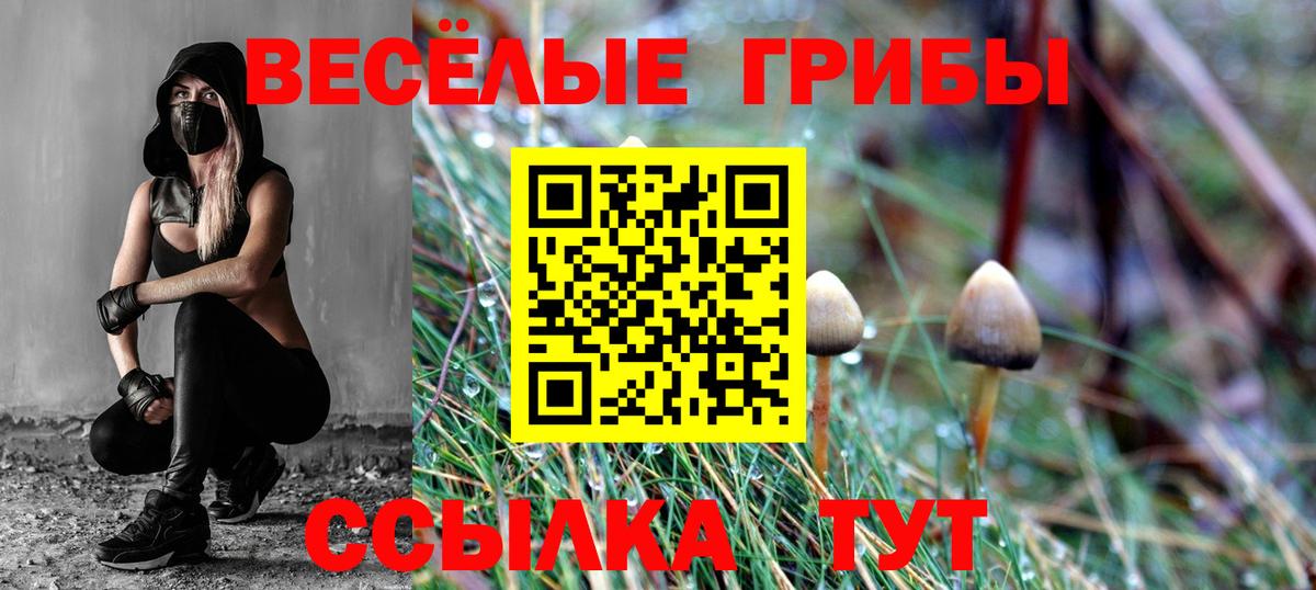 Псилоцибиновые грибы ЛСД Лесосибирск